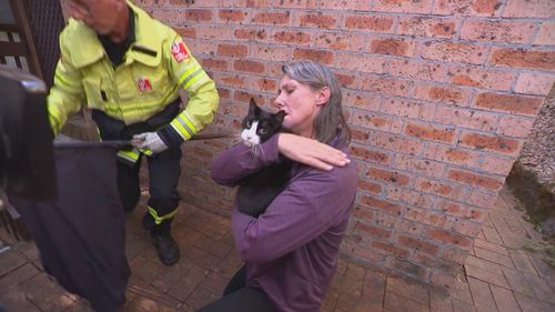 Marni Zavaleta's cat, Pushkar, has been retrieved by NSW Fire and Rescue this afternoon after it fell down a drain four days ago.