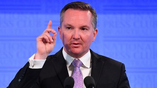 Chris Bowen made his post-budget National Press Club address in Canberra today (AAP)