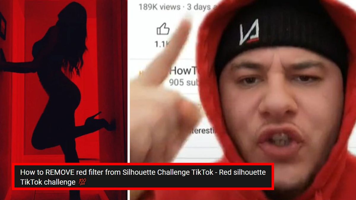 TikTok users respond to YouTube clips instructing users to remove filter on  Silhouette Challenge - 9Honey