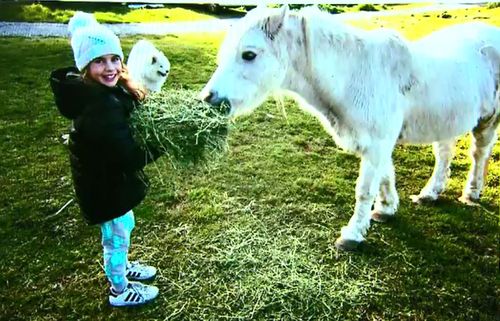 Families, schools and other groups have enjoyed the farm stay since the early 1970s.