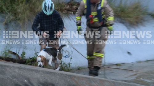 The SES, CFA, Victoria Police and Ambulance Victoria all worked to bring the family to safety.
