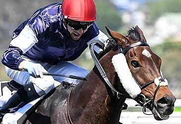 Which horse won the 2020 Melbourne Cup?