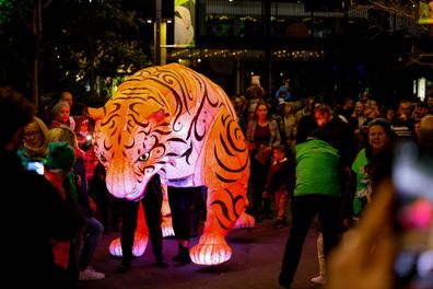 Illuminate adelaide festival