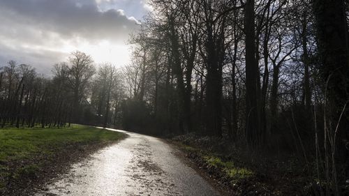 The sun reflects on the former dirt road where supposedly a Nazi loot was buried in Ommeren, near Arnhem, Netherlands, Thursday, Jan. 19, 2023. 
