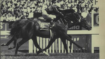 1988 - Giant mare and the famous call
