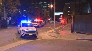 An alcohol fueled argument erupted, sparking an all in brawl in Parramatta, Sydney.