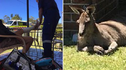 Kangaroo attacks elderly man on NSW coast