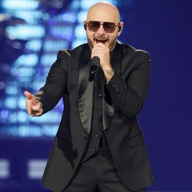Pitbull