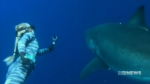 Kayleigh Burns said people have the wrong idea about sharks, after meeting the great white close up for the first time.