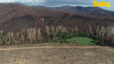 A sanctuary of green. The Smiths' sanctuary somehow survived the devastating fires. 