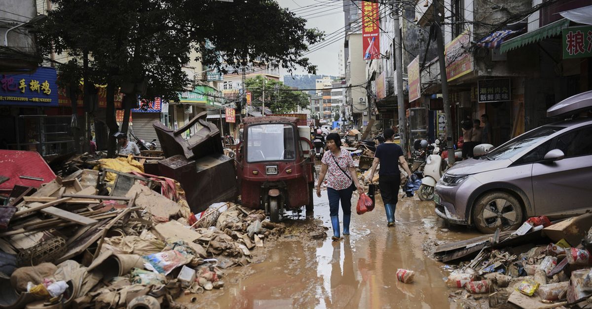 What you need to know about chikungunya, the virus now spreading in China