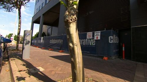 The men were refused bail at Newcastle Court today. (9NEWS)