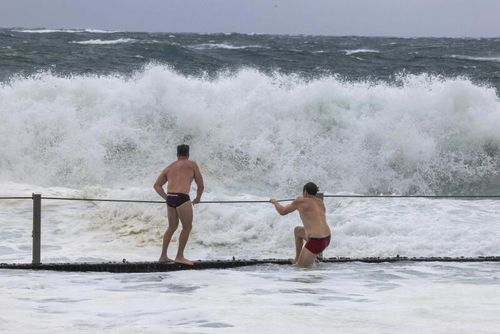 Weather. Mikey and Patch May check out the wild surf conditions from the Cronulla rock pool. Saturday 17th January 2026. Photo: Sitthixay Ditthavong