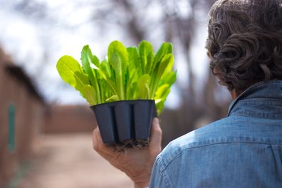 gardening container vegetables