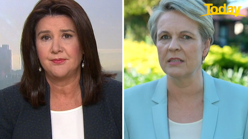 Tanya Plibersek was shocked when Jane Hume said "dead women tell no tales" about late senator Kimberly Kitching.