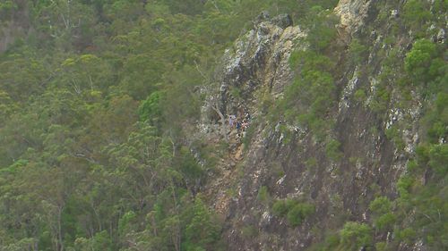 Hiker falls in Queensland's Glasshouse Mountains