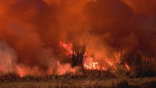 Queensland bushfires