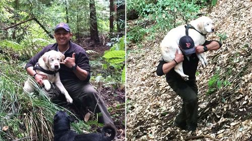 Blind dog missing in wilderness found by heroic neighbour eight days later