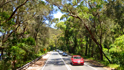 8. Wakehurst Parkway at Elanora Heights