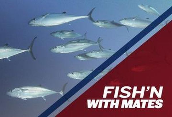 Al McGlashan's Fish'n With Mates