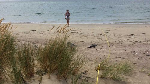 The CSIRO has found plastic waste on Australian beaches has dropped substantially.