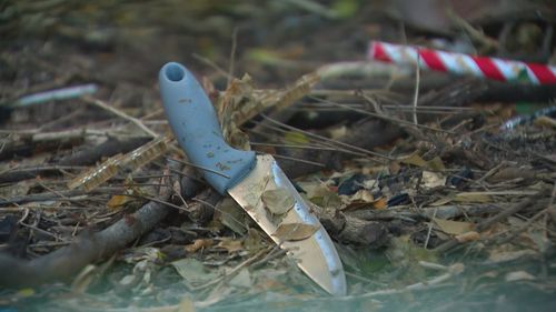 A knife was found by police but is yet to be linked to the random attack.