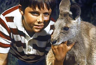 When was Skippy the Bush Kangaroo first televised?