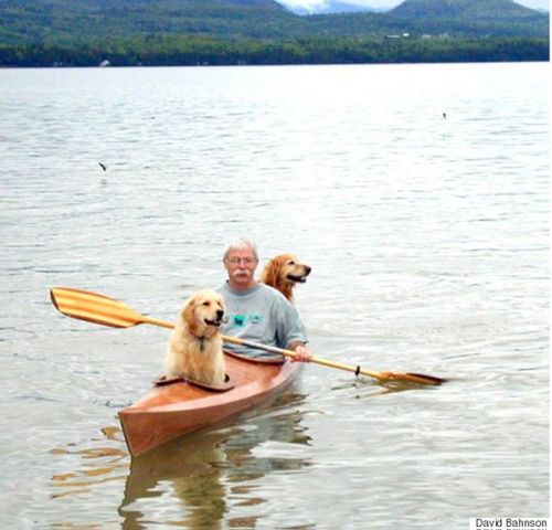 Man modifies kayak so his dogs can join him on adventures
