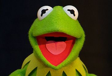 Which instrument does Kermit perform on 'Rainbow Connection'?