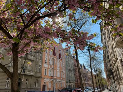 prague couple falls in love