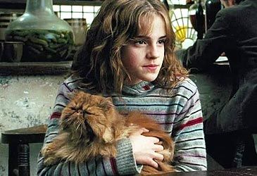 What is the name of Hermione Granger's pet cat?