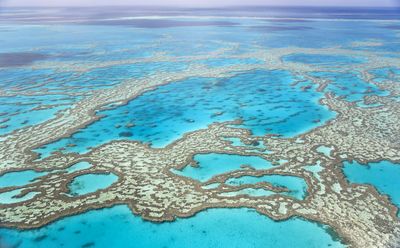 3. Great Barrier Reef, Qld