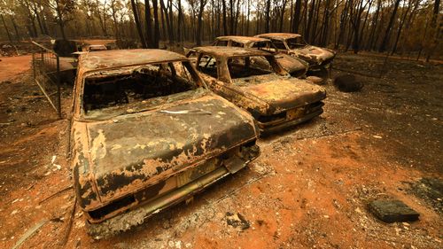 A row of burn-out cars sit in a clearing in Tingha.