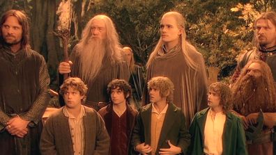 The fellowship in Lord of the Rings: Fellowship of the Ring.