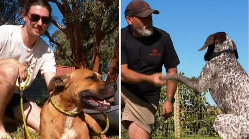 Cody e Finni (a sinistra), Rupert e Ben (a destra)c