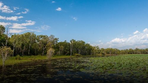 The man was hurt while fishing in Kakadu National Park near Darwin.