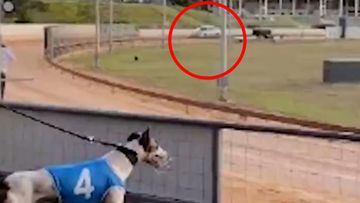 Uber Eats driver caught driving on Mandurah Greyhound race track in WA.