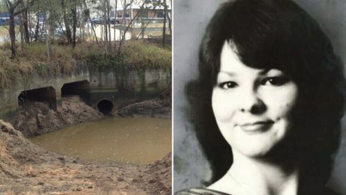 No skeletal remains found in search for missing Queensland woman Sharron Phillips 