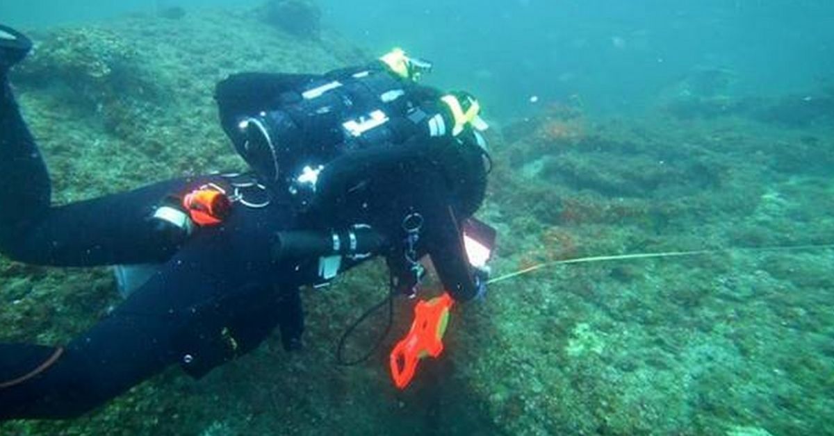 Fascinating discovery made at bermuda triangle wreck site