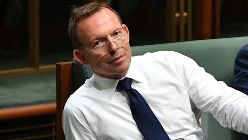 Former Prime Minister Tony Abbott in Parliament today.