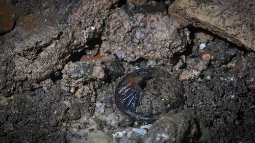 Relics inside the interior of the Balamku cave.