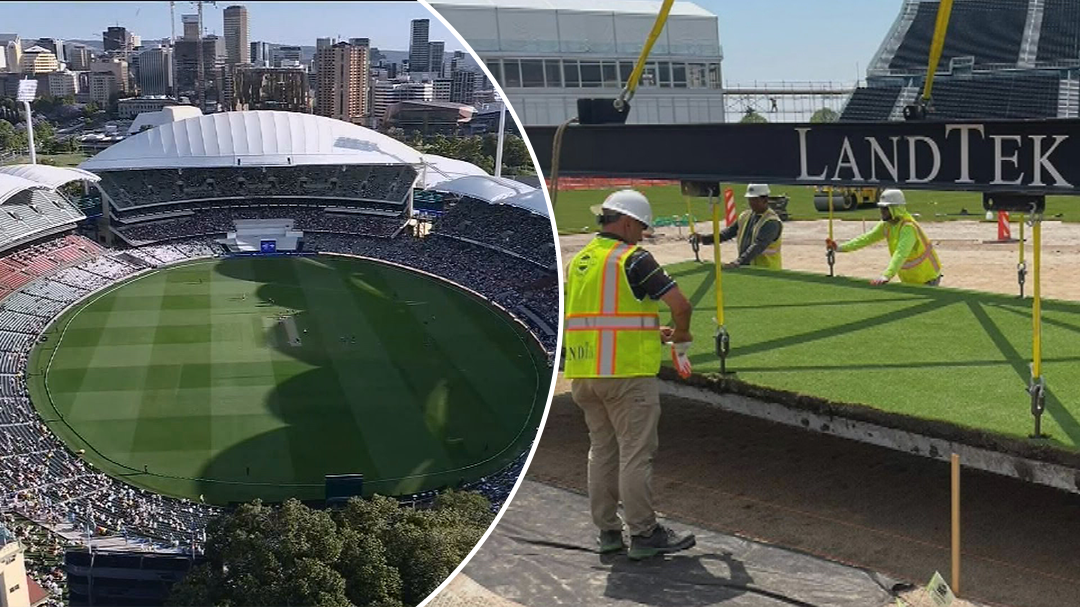 Adelaide Oval's pitch expertise takes centre stage for T20 World Cup