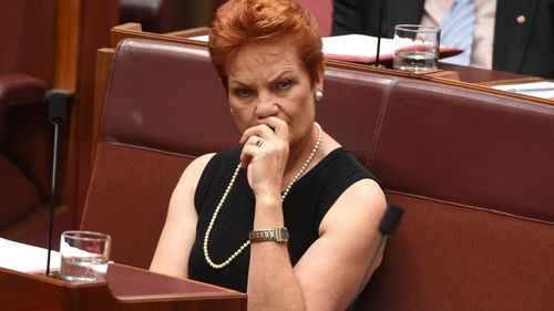 Pauline Hanson calls federal police over ‘rogue’ One Nation Western Australia