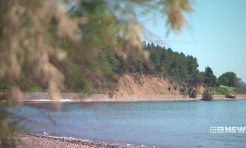 It was here at Gallipoli 103 years earlier that their relatives had fought and were injured alongside each other. (9NEWS)