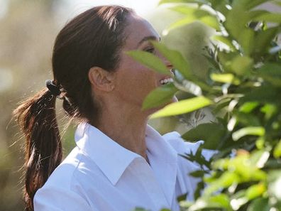 meghan as ever post about next step for lifestyle brand