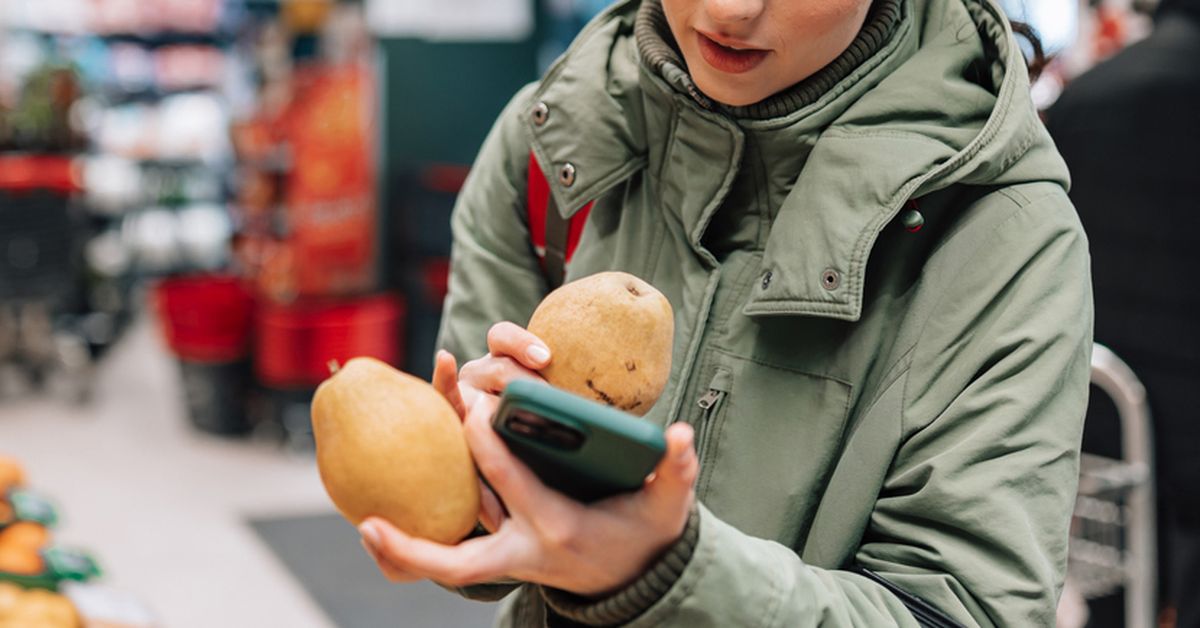 Easy mango recipes to try this summer including Rippled Mango Popsicles, Prawn, mango, fennel wreath