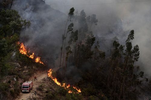 Wildfires are sweeping through much of Portugal's dry  landscapes. Image: AAP