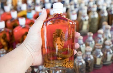 Snake wine