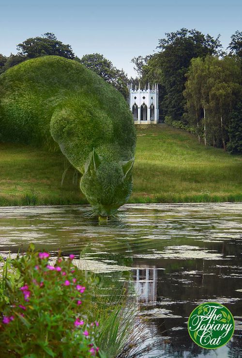 Richard Saunders/The Topiary Cat (Facebook)