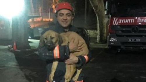 The dog was rescued after spending 10 days in a well. (Beykoz Fire Department)